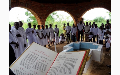 ΒΑΠΤΙΣΕΙΣ ΟΡΘΟΔΟΞΩΝ ΣΤΗ ΠΟΛΗ DOLISIE