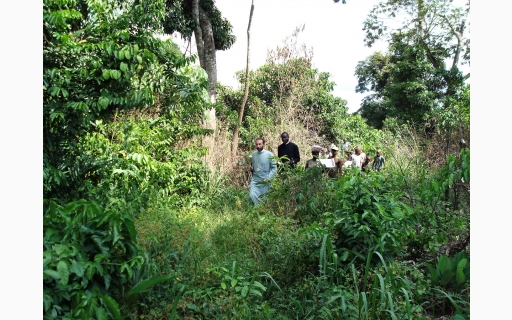 ΠΟΙΜΑΝΤΙΚΗ ΕΠΙΣΚΕΨΗ ΣΤΗ ΓΗ ΤΩΝ ΠΥΓΜΑΙΩΝ